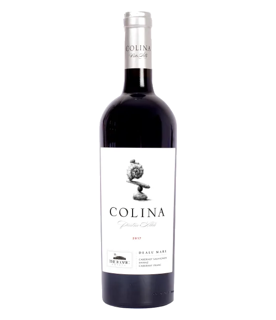 Colina Piatra Alba Cabernet Sauvignon, Shiraz, Cabernet Franc, fles bij slijterij t Bockje in Bathmen