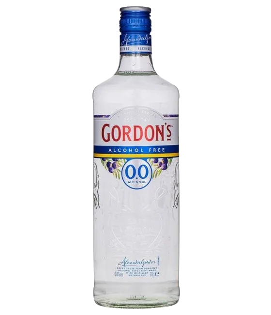 Gordon’s Gin 0.0% Alcohol Free, fles bij slijterij t Bockje in Bathmen