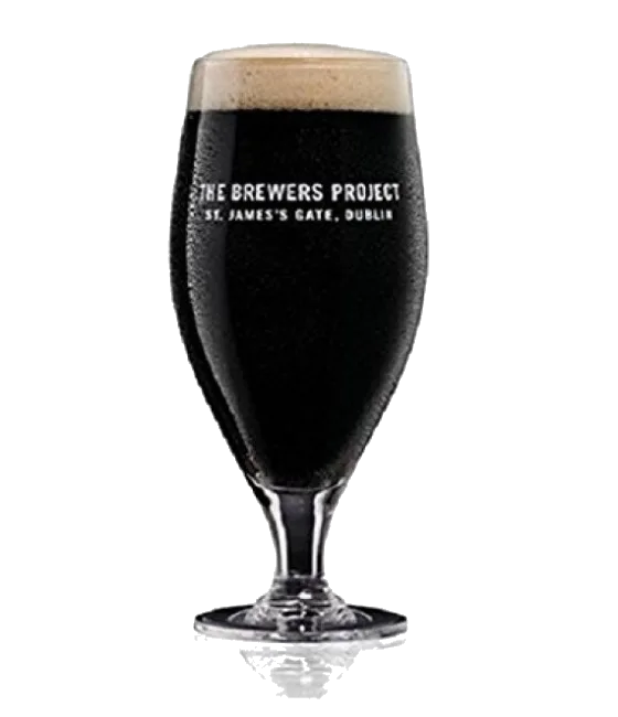THE BREWERS PROJECT pint glas 50cl, fles bij slijterij t Bockje in Bathmen