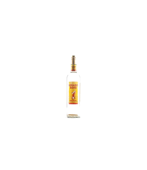 Gusano Rojo Mezcal + Worm, fles bij slijterij t Bockje in Bathmen