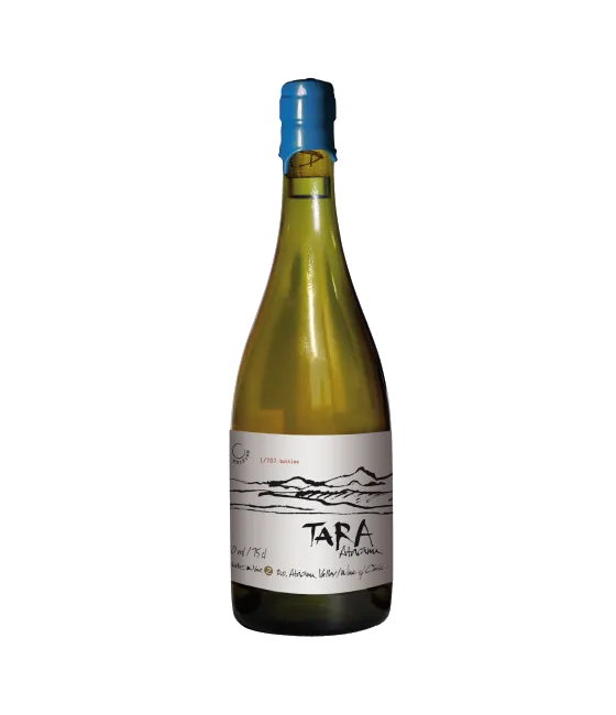 Tara Atacama Viognier No. 3, fles bij slijterij t Bockje in Bathmen