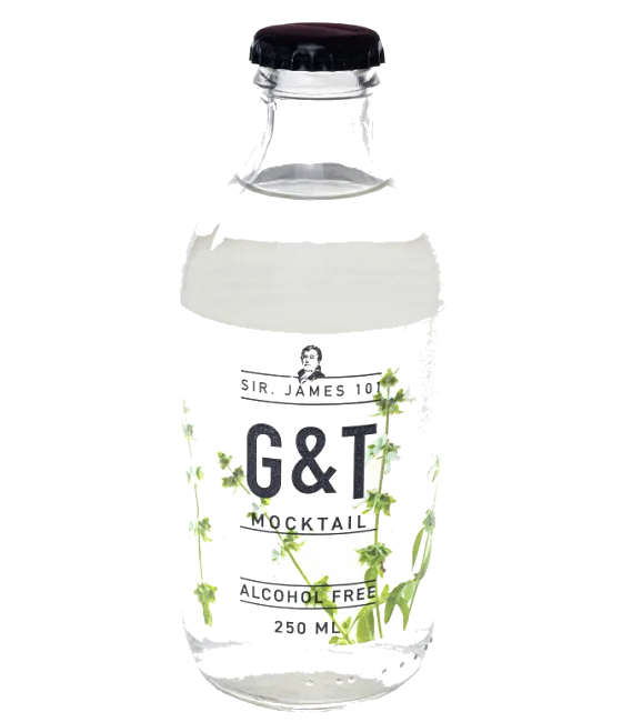 Sir. James 101 G&T, fles bij slijterij t Bockje in Bathmen