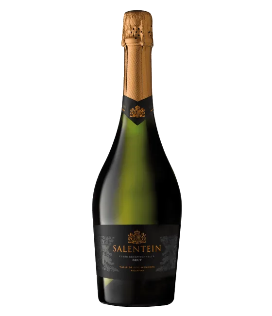 Salentein Sparkling Cuvée Exceptionnelle Brut, fles bij slijterij t Bockje in Bathmen
