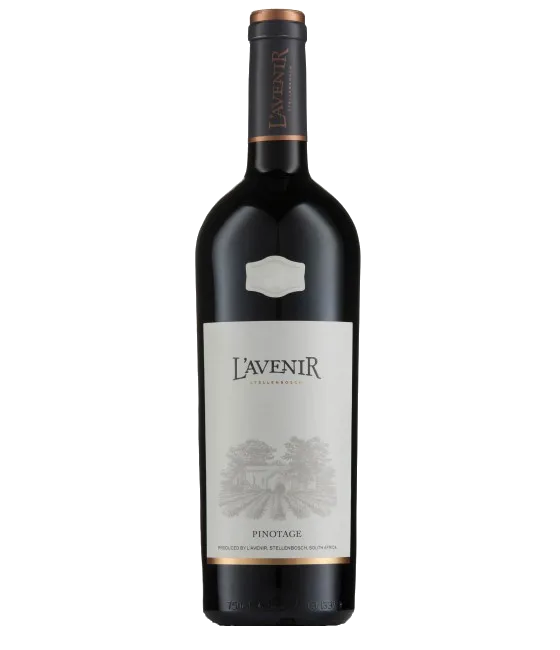 L’Avenir Provenance Pinotage Magnum ’40 jaar Wijnkring Jubileum’, fles bij slijterij t Bockje in Bathmen