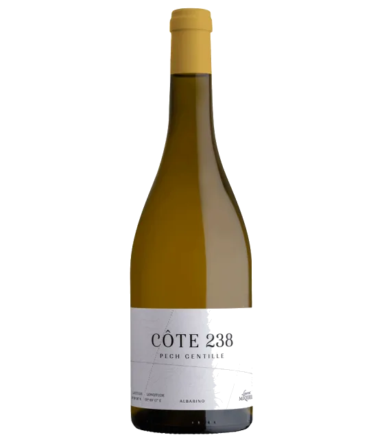 Laurent Miquel Côte 238 Pech Gentille, fles bij slijterij t Bockje in Bathmen