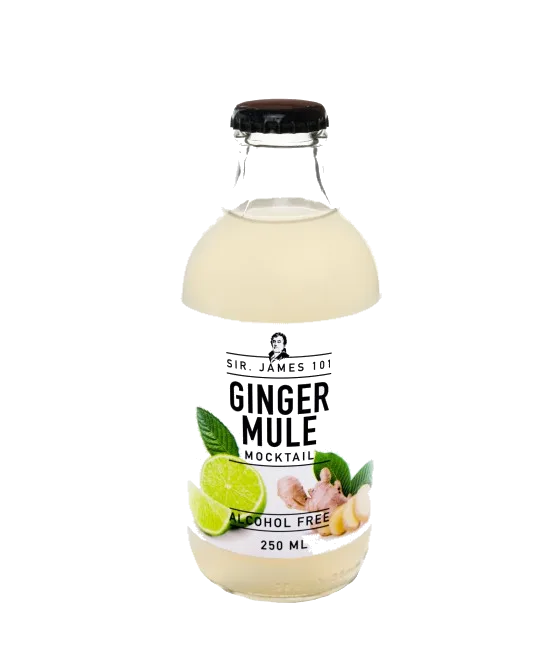 Sir. James 101 Ginger Mule, fles bij slijterij t Bockje in Bathmen