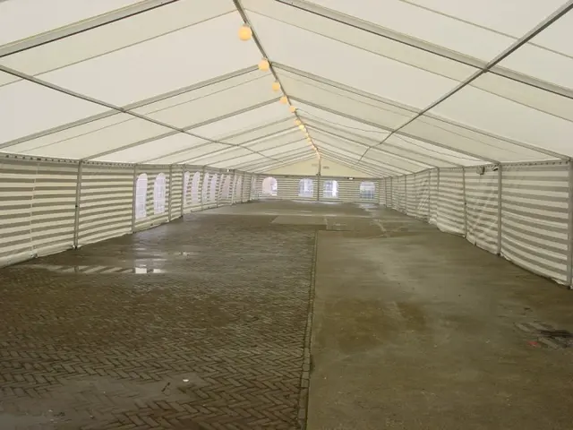 Foto van brede partytenten (8 en 10 meter), foto 5 van 16