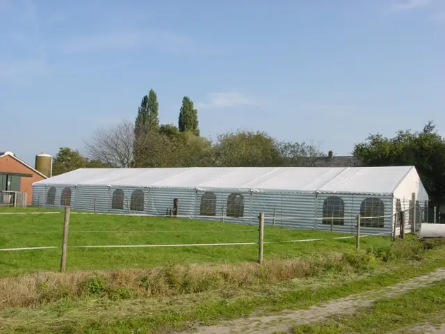 Partytent 10 meter, foto 3 van 8
